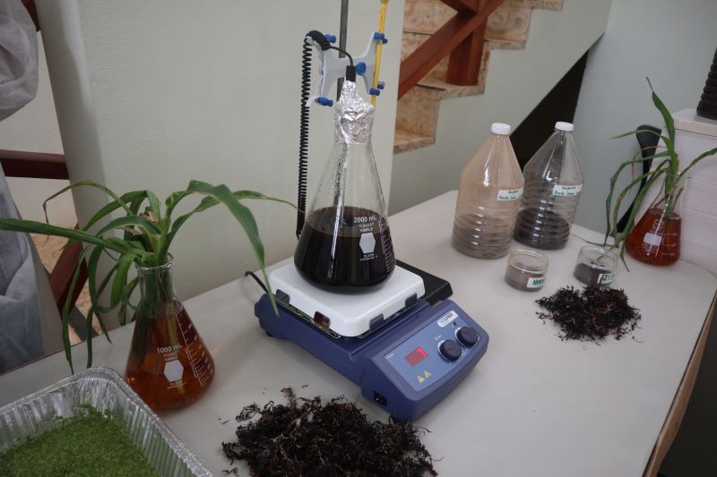 Proyecto de bioestimulante Stan